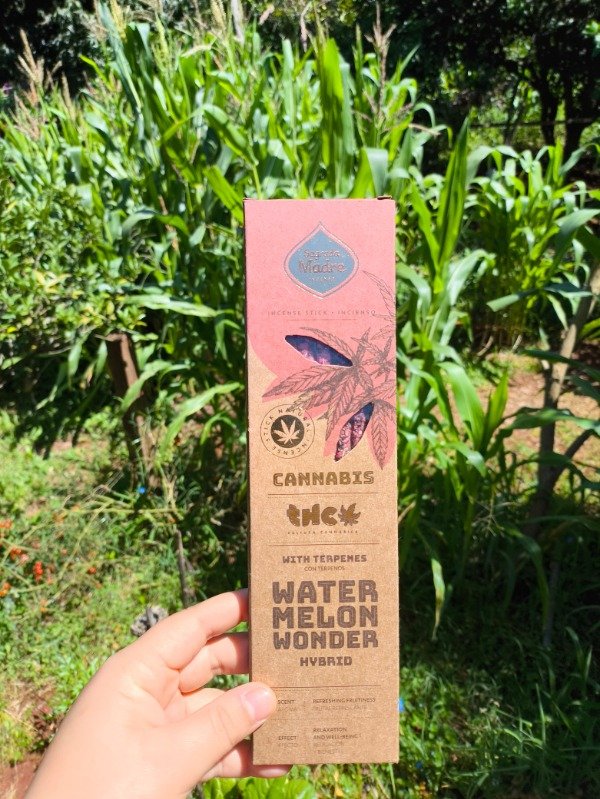 Producto - Sahumerios cannabis Watermelon wonder