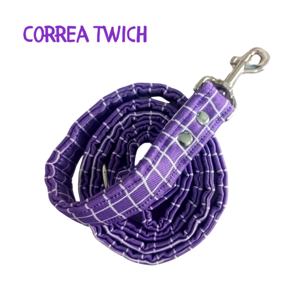Producto - Correa TWICH