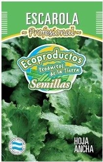 Producto - Escarola
