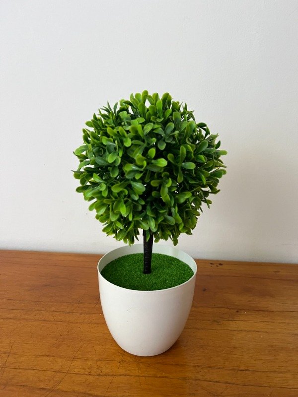 Producto - Topiario Sin Riego 26cm