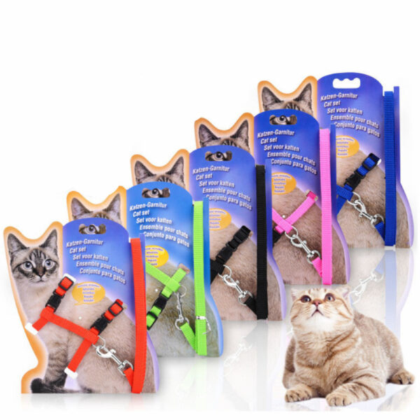 Producto - Arnes para gato