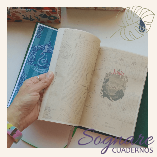 Miniatura de producto - 13