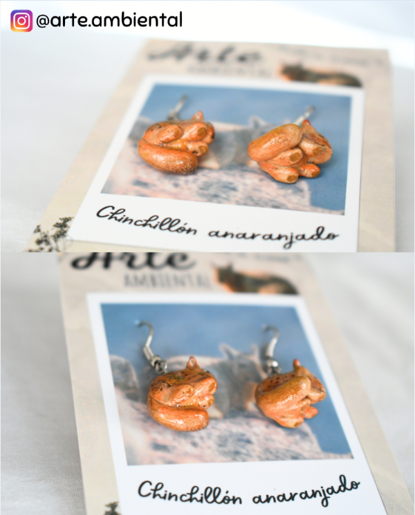 Producto - Aritos de Chinchillón Anaranjado