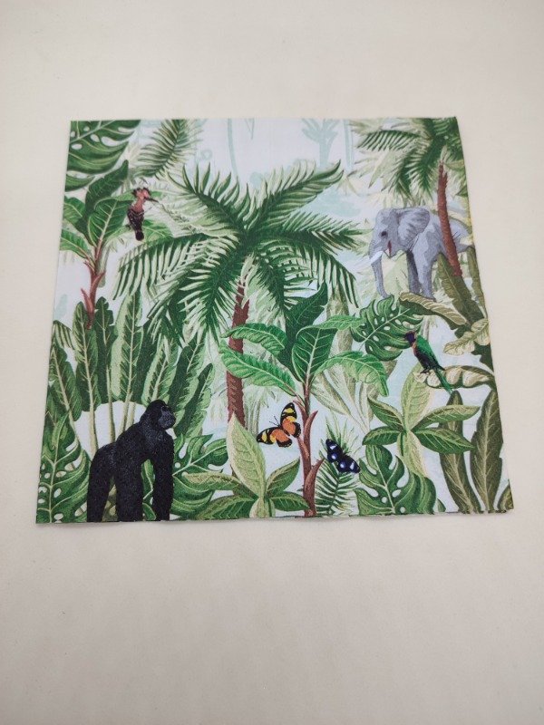 Producto - Rainforest