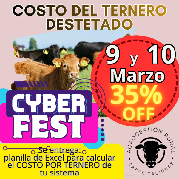 Producto - Taller Online: Costo del Ternero