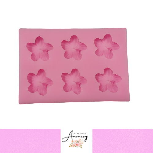 Producto - FLORES MINI X6