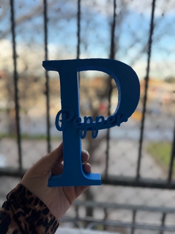 Producto - Letras iniciales con nombre 3D - 1