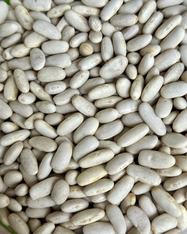 Producto - Porotos alubia x500g