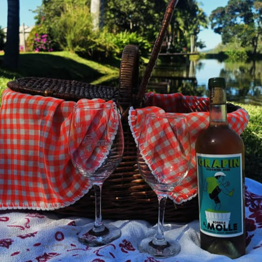 Producto - Viognier - El Molle (Monterrico)