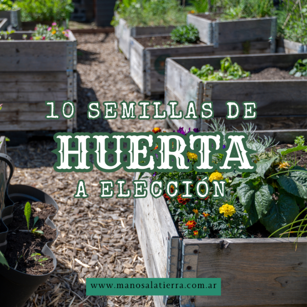 Producto - 10 sobres de semillas de huerta a elección