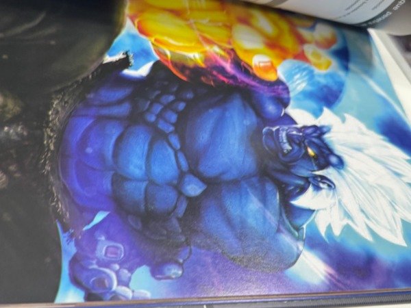 Producto - Street Fighter Enciclopedia De Guerreros Mundiales - 3