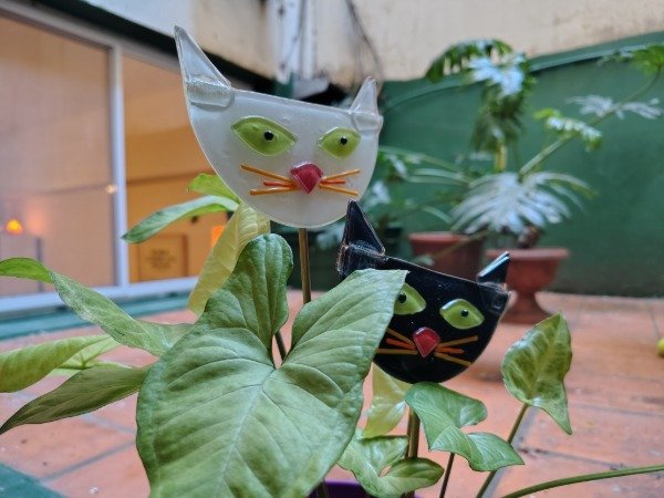 Producto - Tutor Gatitos - 2