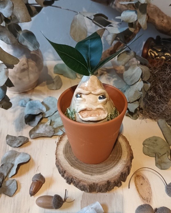 Producto - Mandrágora V