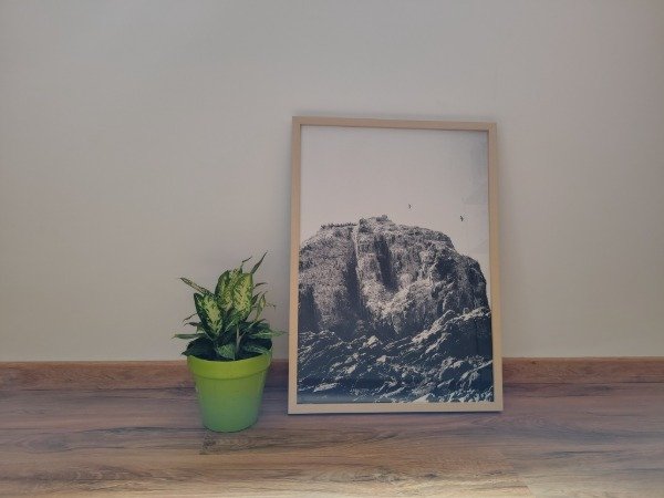 Producto - Piedra de los pájaros BN