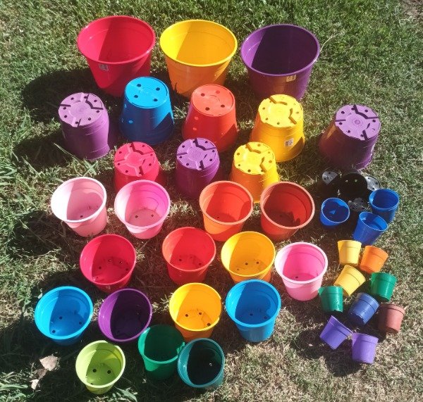 Producto - Plástica Común Maceta - 0