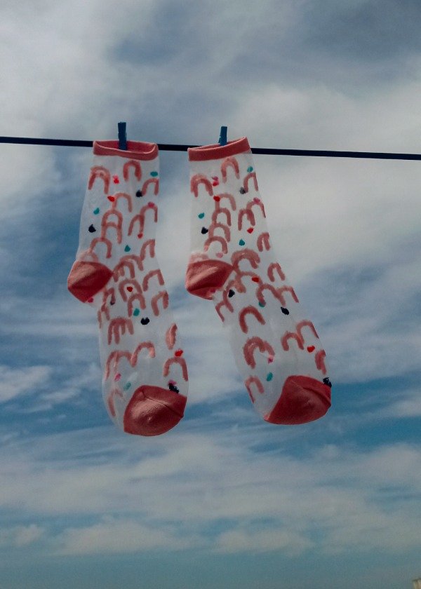 Producto - Medias TRANSPARENTES bordadas FORMITAS ROSAS