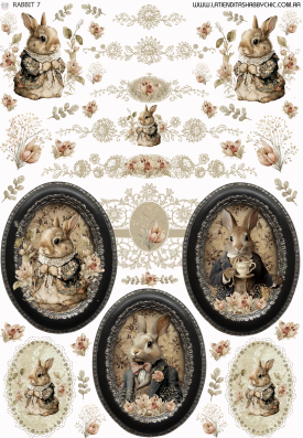 Producto - RABBIT 7 MIXED