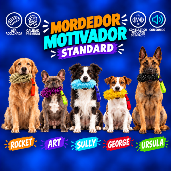 Producto - MORDEDOR MOTIVADOR / ART - 1