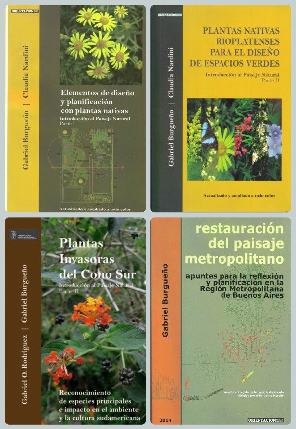 Producto - Elementos Diseño + Plantas Nativas + Plantas Invasoras + Restauración