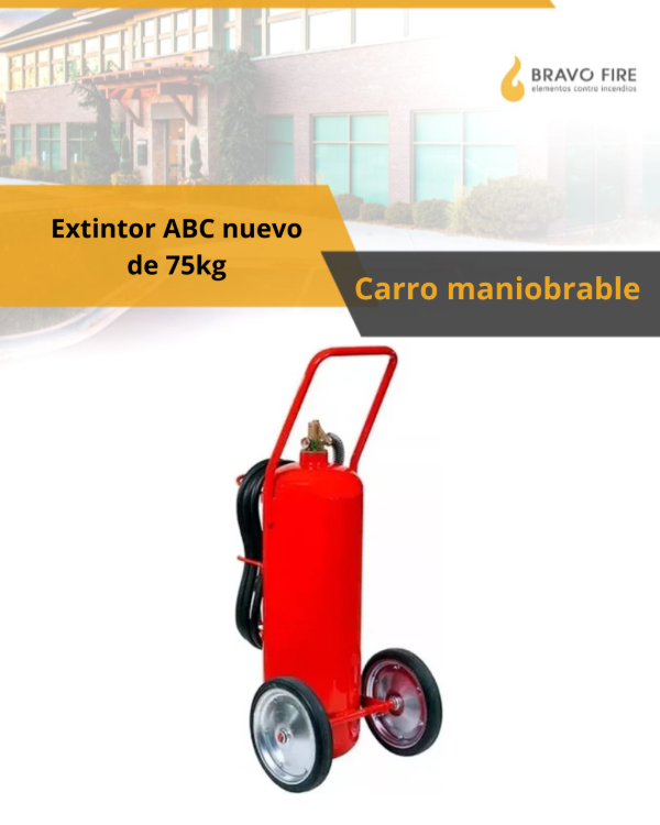 Producto - Carro de 75kg Nuevo