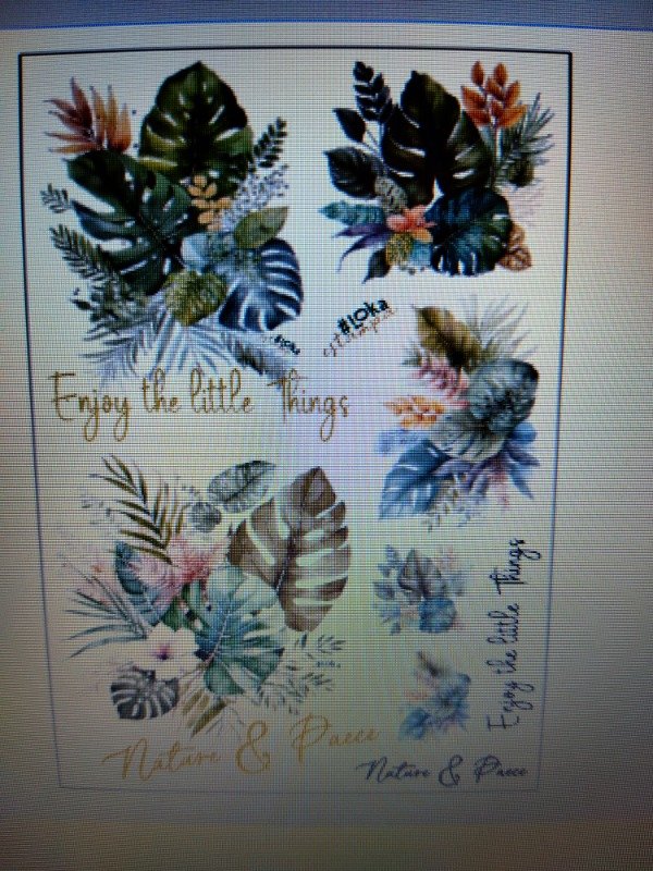 Producto - Termotransferibles 20x29cm Botánico #1