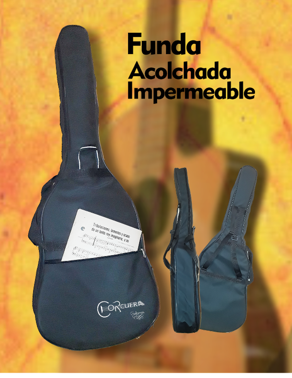 Producto - C-20 Guitarra Clásica de estudio Superior + Funda - 2