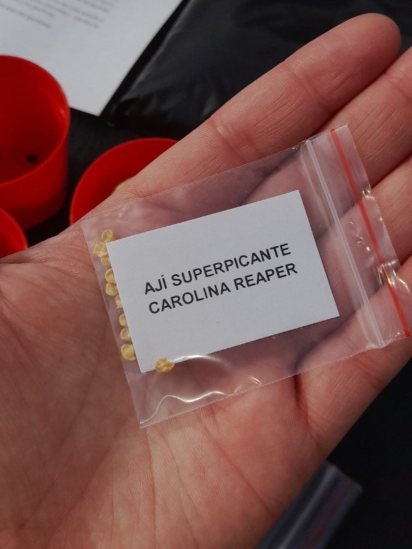 Producto - Kit de Siembra de Ajíes Superpicantes (Carolina Reaper + Ghost Pepper) - 2