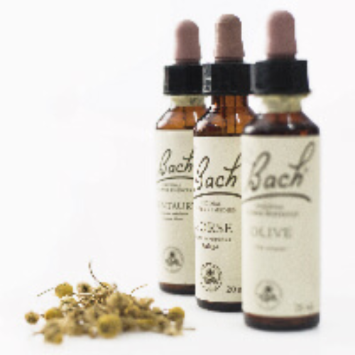 Producto - Sesión Flores de Bach