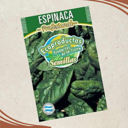 Producto - Semillas de Espinaca