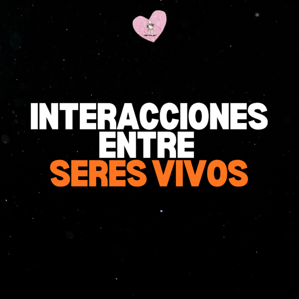 Producto - INTERACCIONES ENTRE LOS SERES VIVOS