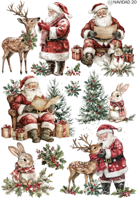 Producto - NAVIDAD 20 TR
