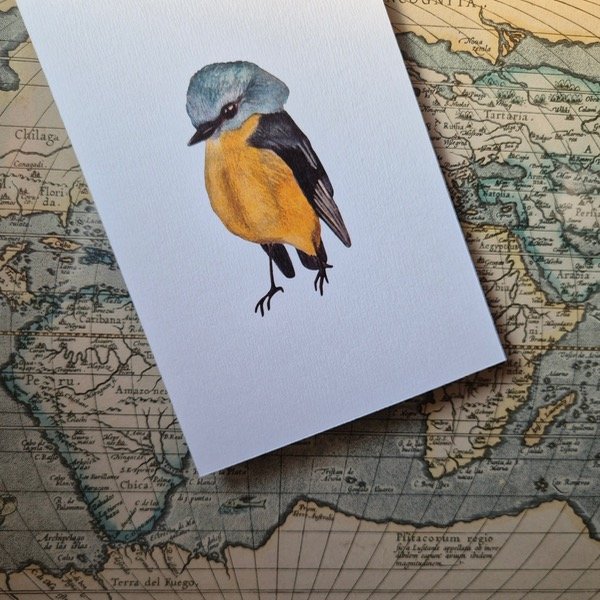 Producto - Postal 03 - PETIRROJO AMARILLO