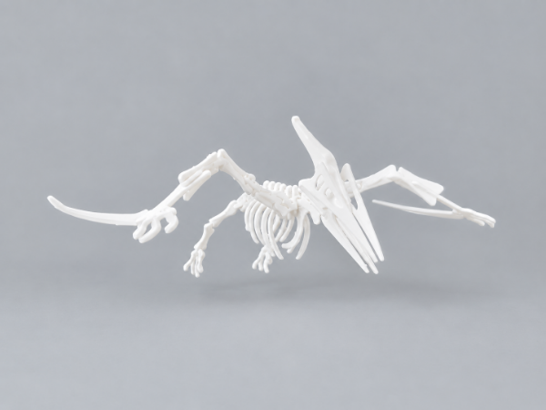 Producto - Rompecabezas de Dinosaurios - 4