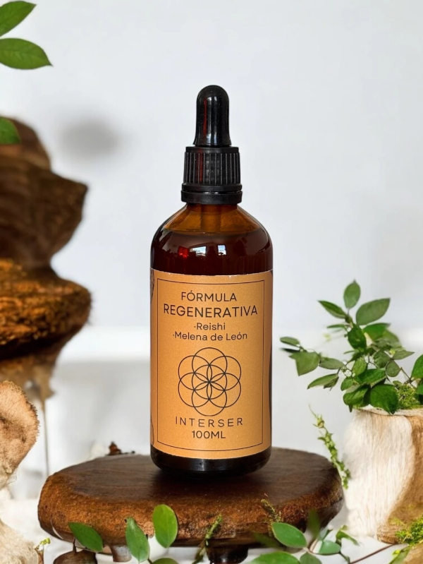 Producto - BLEND - Fórmula Regenerativa (Melena de León + Reishi)