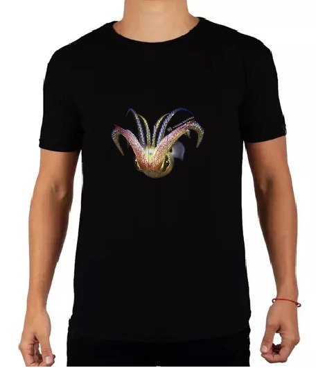 Producto - Remera Chipirón