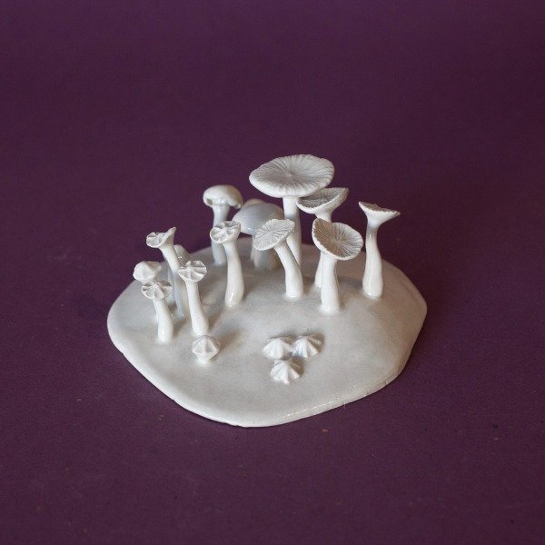 Miniatura de producto - 7