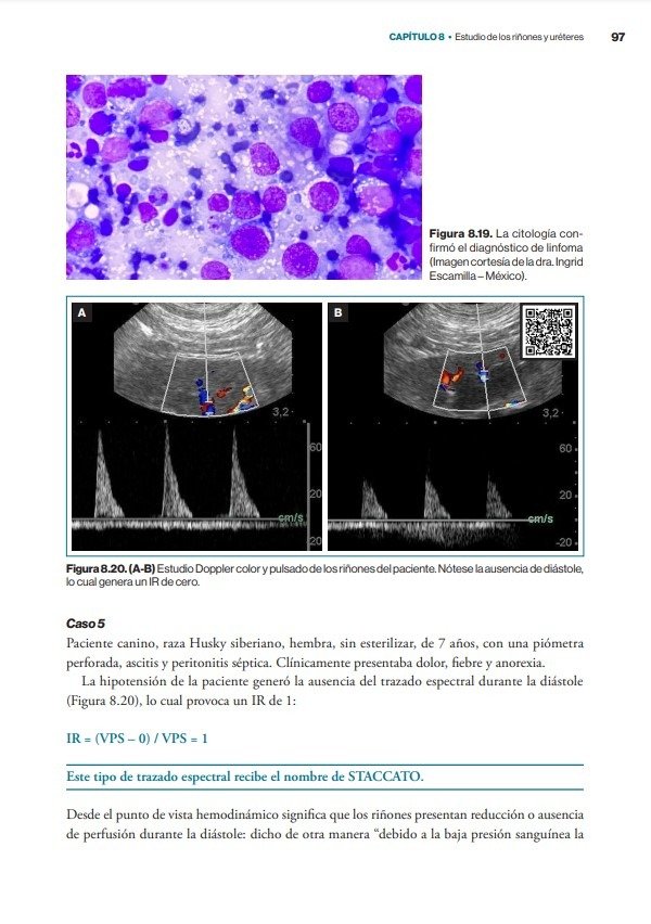 Producto - Núñez: Atlas Clínico de Ecografía Doppler en Pequeños Animales - 4
