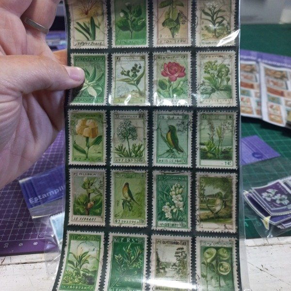 Producto - Plancha grande stickers troquelados. Natura Verde