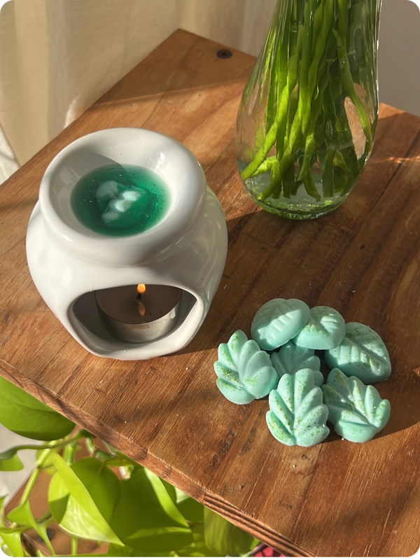 Producto - Wax Melt - Bambú y verbena - 1