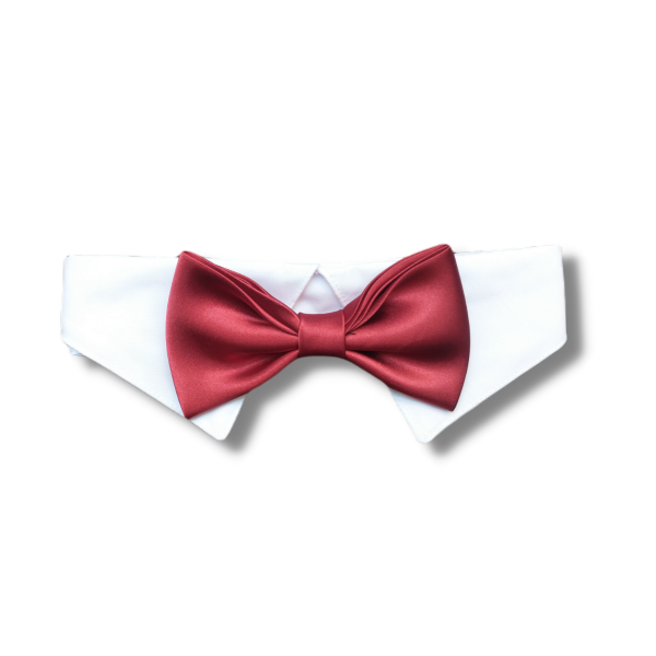 Producto - Cuello y Moño Burgues Bordo
