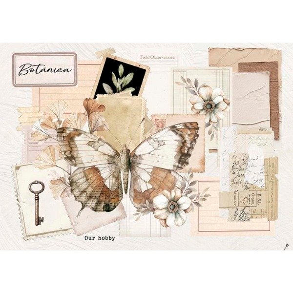 Producto - Mariposa 183