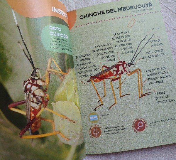 Miniatura de producto - 5