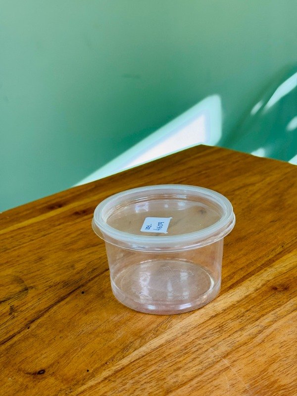 Producto - Pote plástico ps con tapa 250ml