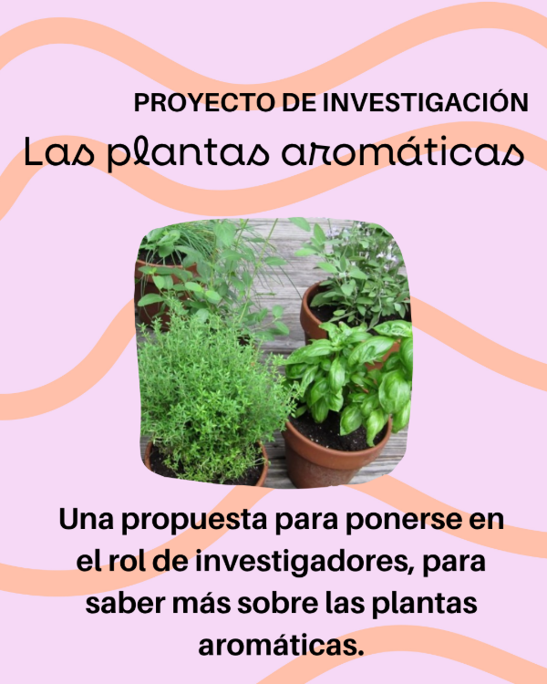 Producto - Proyecto de investigación: Las plantas aromáticas
