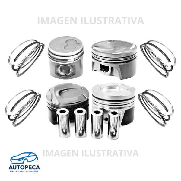 Producto - Subconjunto Wangfeng WF491PG - 91mm - P. 22mm - STD0.50