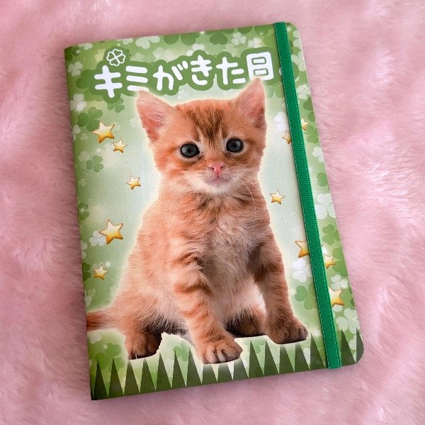 Producto - Libreta Lucky Cat grande