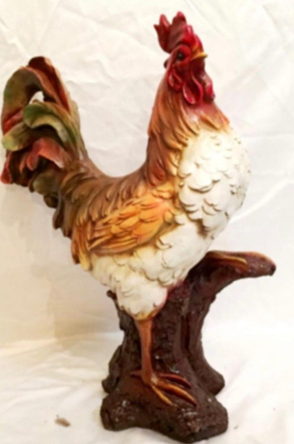 Producto - Gallo (8)