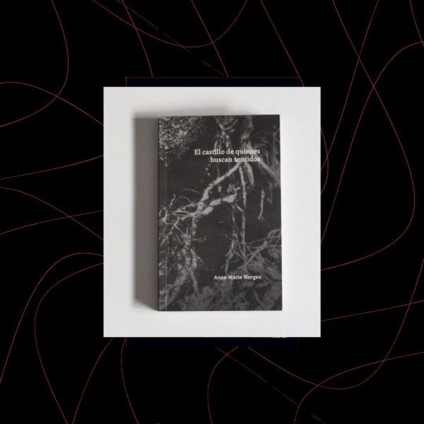 Producto - El castillo de quienes buscan sentido, Anne Marie Norgeu