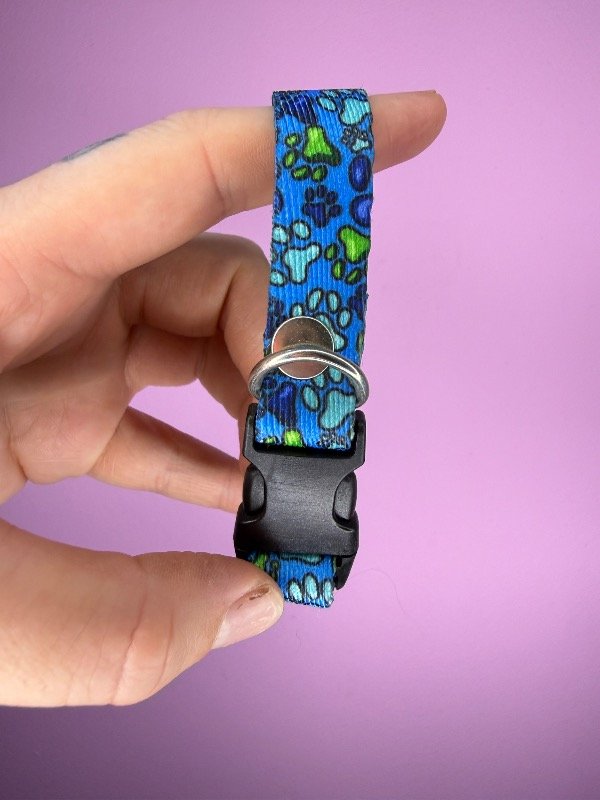 Producto - Collar regulable patitas azul