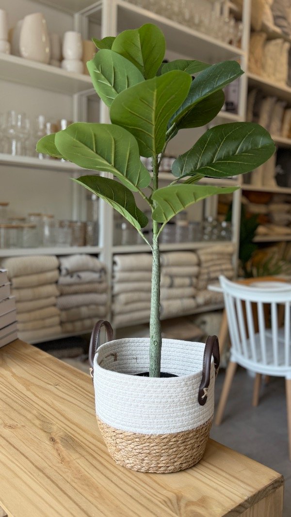 Producto - Cesto Mediano